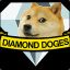 Diamond Doge