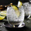 Gin Tonic