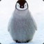 Peng the Pinguin