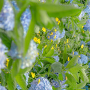 宝宝巴适🚌🥜