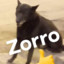 Zorro