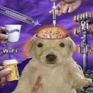 Damdzior