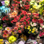 鱼吃芋头