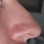 reggie&#039;s beak