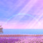 unknown main