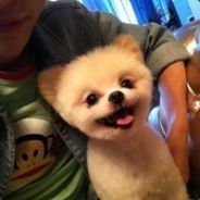 MyzzZ丶咻咻