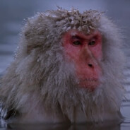 monke