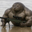 Seal Team Thicc (CHADMAX)