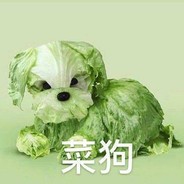 京师求救