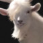 HellGoat