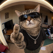 Player avatar