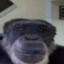 Monke