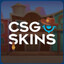 paszczakSKINS