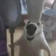 c一把唐一把，nice兄弟下一把