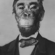 monkey lincoln