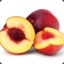 BOT Nectarines~