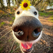 Iᗰᗰᗰ YᗩSᕼᗩ