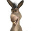 Donkey Pangilinan