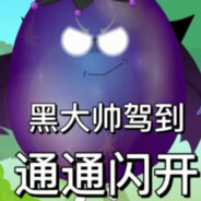 黑大帅！