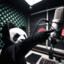 Panda Beatz