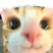 多年的胖火龙zzt88