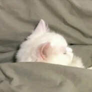 开枪即碎甲打中即大残