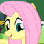 ❤️fluttershy❤