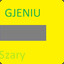 GJENIU SzaryG4SKINS.COM