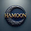 HAMOON✈