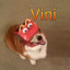 Vinini