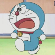 无所谓我会到处发疯