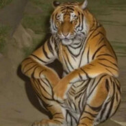 TIGGAH