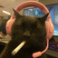 serjinho 40 fps