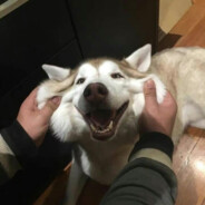 有時三點兩點雨