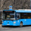 bluebus