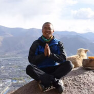 C++从入门到精通