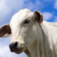 Webber avatar