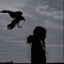 MourningCrow