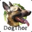 DogThor