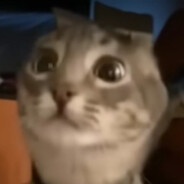 Oxydo avatar