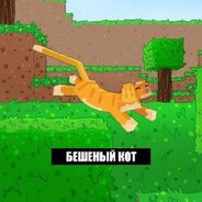 БешеныйКот