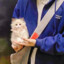 温柔似野风