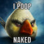 I Poop Naked