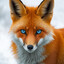 🦊Fuרzz0_4H ✡