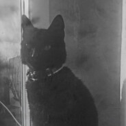 󠁳⁧⁧ 𝕊𝕦𝕏𝕖