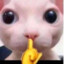 21-