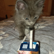 K_A_III_A - steam id 76561199013878950