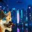 GentleShibe