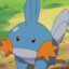 mudkip1511
