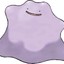 Ditto